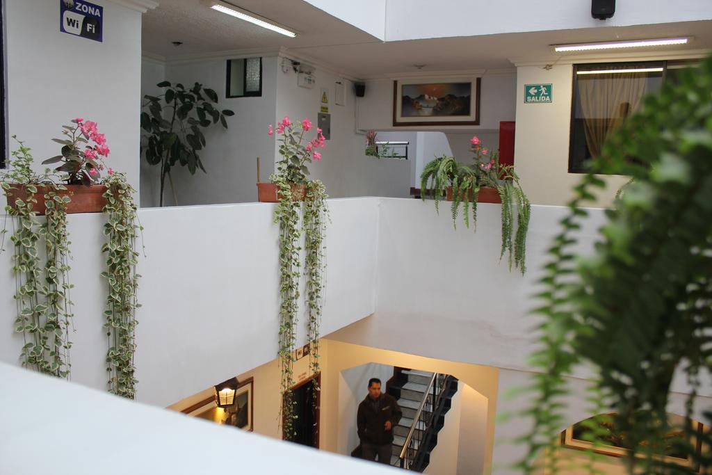 Hotel David