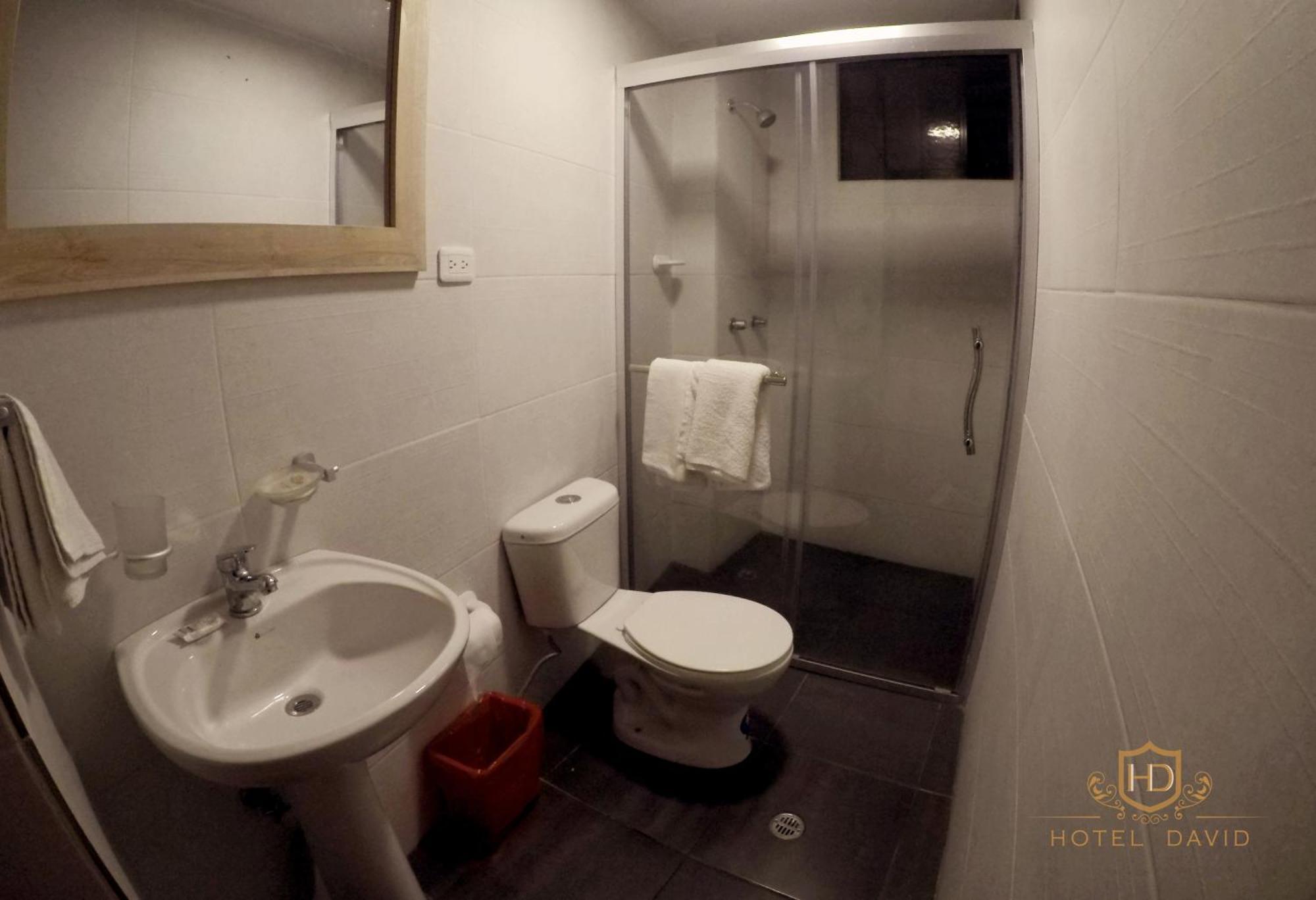 Hotel David 3*