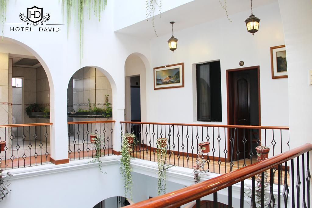 Hotel David 3*