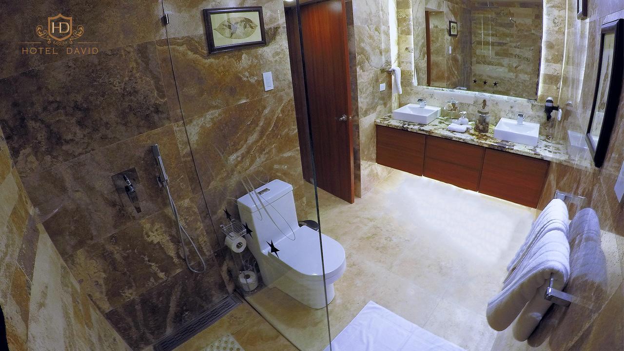 Hotel David 3*